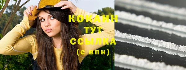 ПСИЛОЦИБИНОВЫЕ ГРИБЫ Богородицк