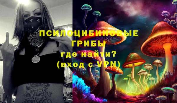 ПСИЛОЦИБИНОВЫЕ ГРИБЫ Богородицк