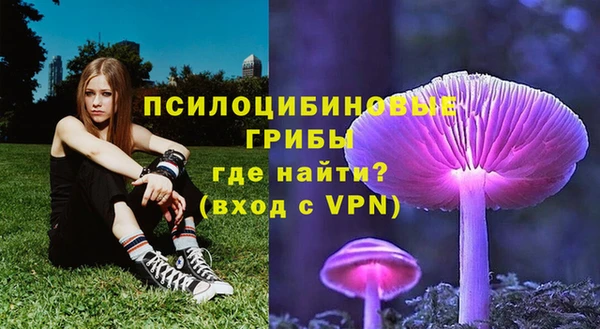 ПСИЛОЦИБИНОВЫЕ ГРИБЫ Богородицк