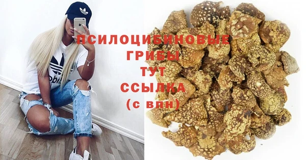 скорость Богданович
