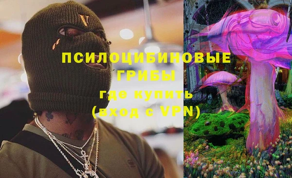 ПСИЛОЦИБИНОВЫЕ ГРИБЫ Богородицк